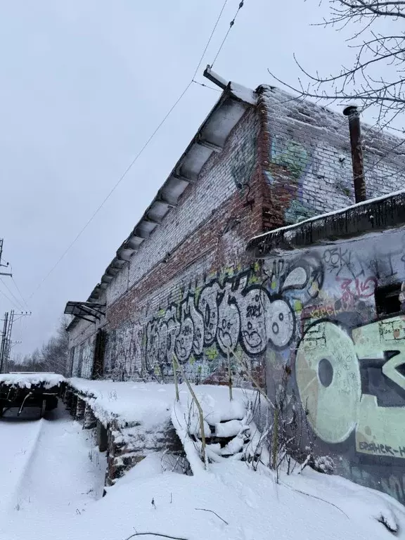 Склад в Московская область, Ногинск Богородский городской округ, ул. ... - Фото 1