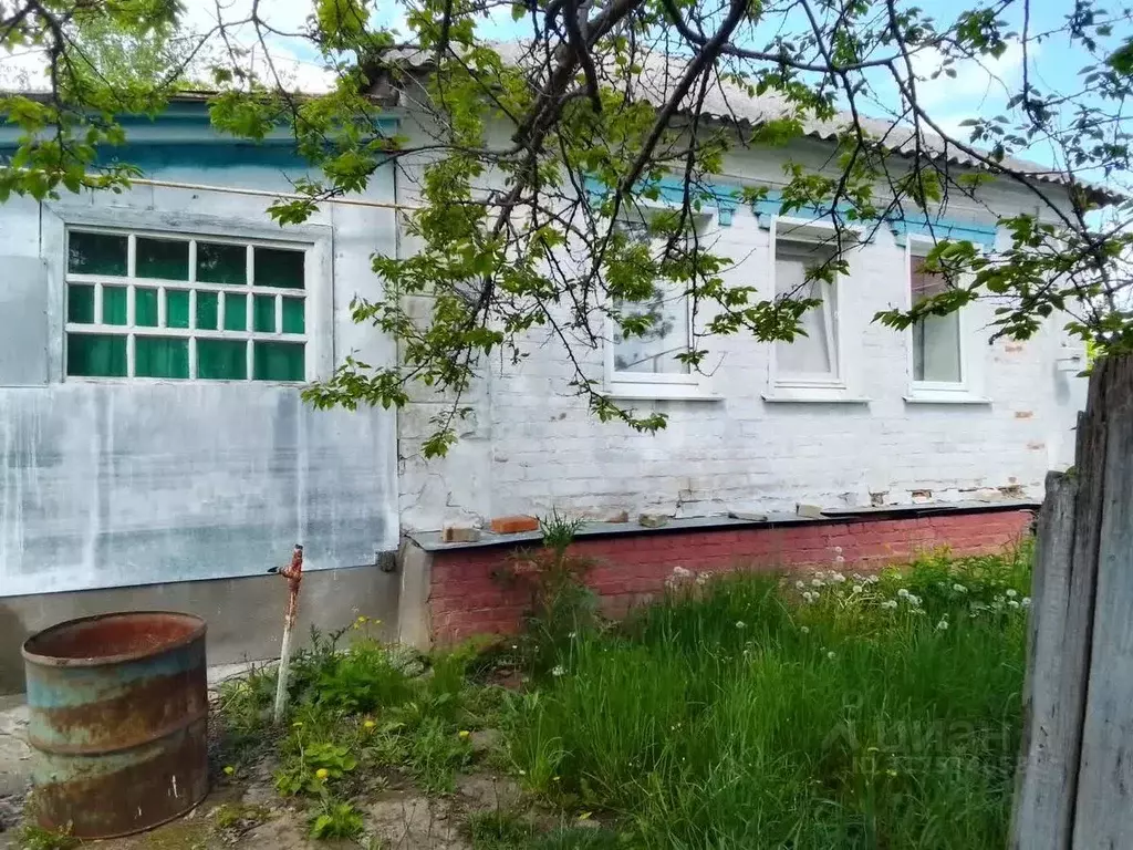 Дом в Белгородская область, Новооскольский муниципальный округ, с. ... - Фото 0