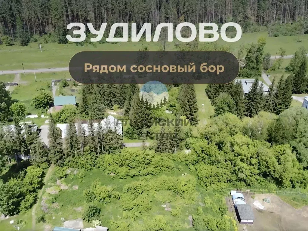 Участок в Алтайский край, Первомайский район, с. Зудилово ул. Шукшина, ... - Фото 2