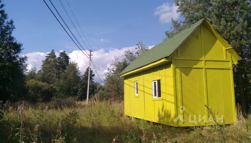 Нет света в приозерском районе. Кротово Приозерский район. Поселок Кротово Ленинградская область. Посёлок Кротово Приозерский район фото. СНТ Кротово Приозерский район отзывы.