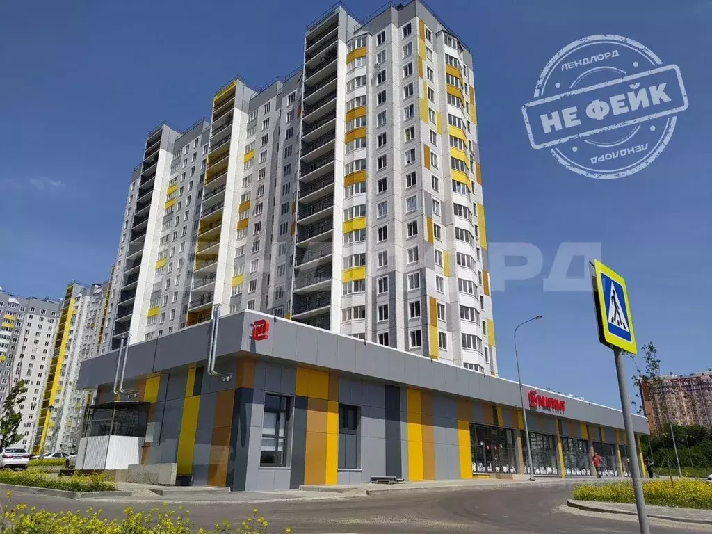 Студия Ростовская область, Ростов-на-Дону ул. Ткачева, 38с1 (27.0 м) - Фото 1