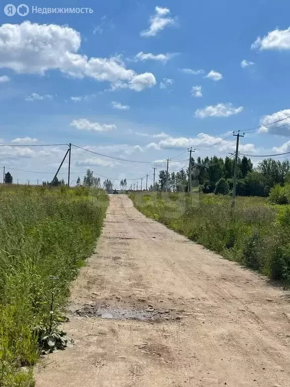 Участок в Ярославский муниципальный округ, деревня Ермолово (10 м) - Фото 1