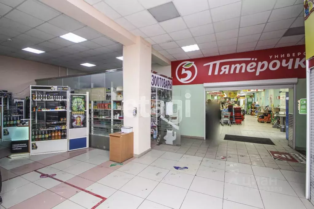 Торговая площадь в Тюменская область, Тюмень ул. Газовиков, 20/1 (634 ... - Фото 1