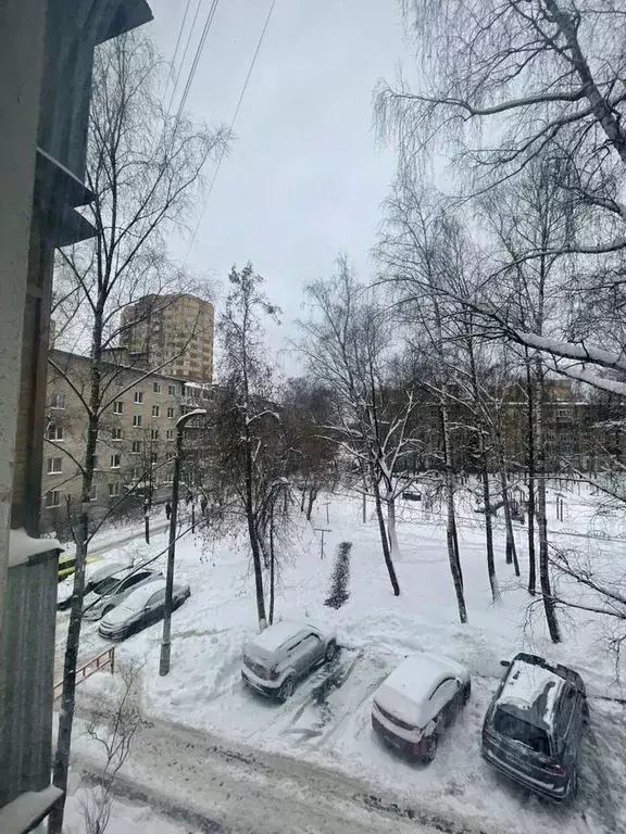 3-к кв. Московская область, Пушкино Московский просп., 28 (55.0 м) - Фото 1