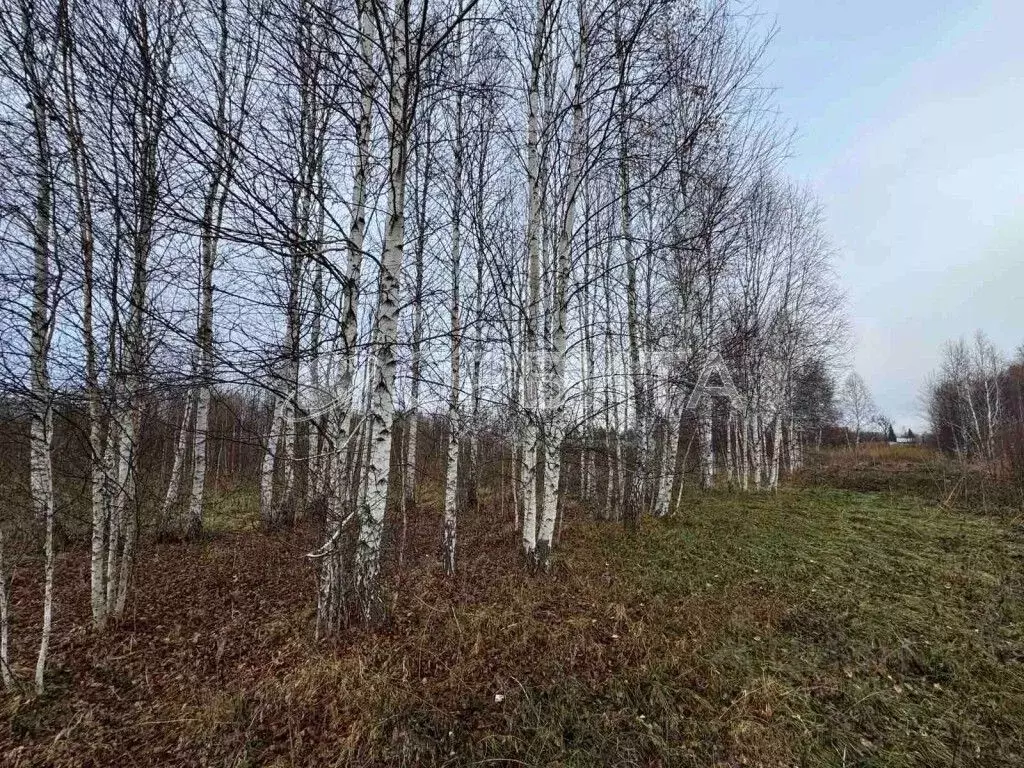 Участок в Тюменская область, Нижнетавдинский район, Сочинское ДНТ  ... - Фото 1