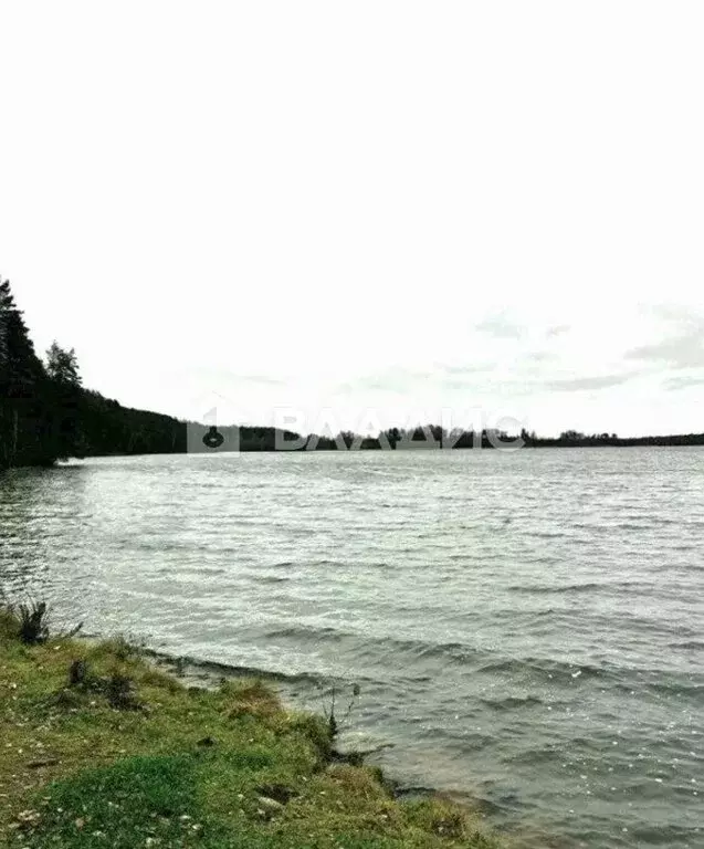 Участок в Приозерский район, Петровское сельское поселение, посёлок ... - Фото 1