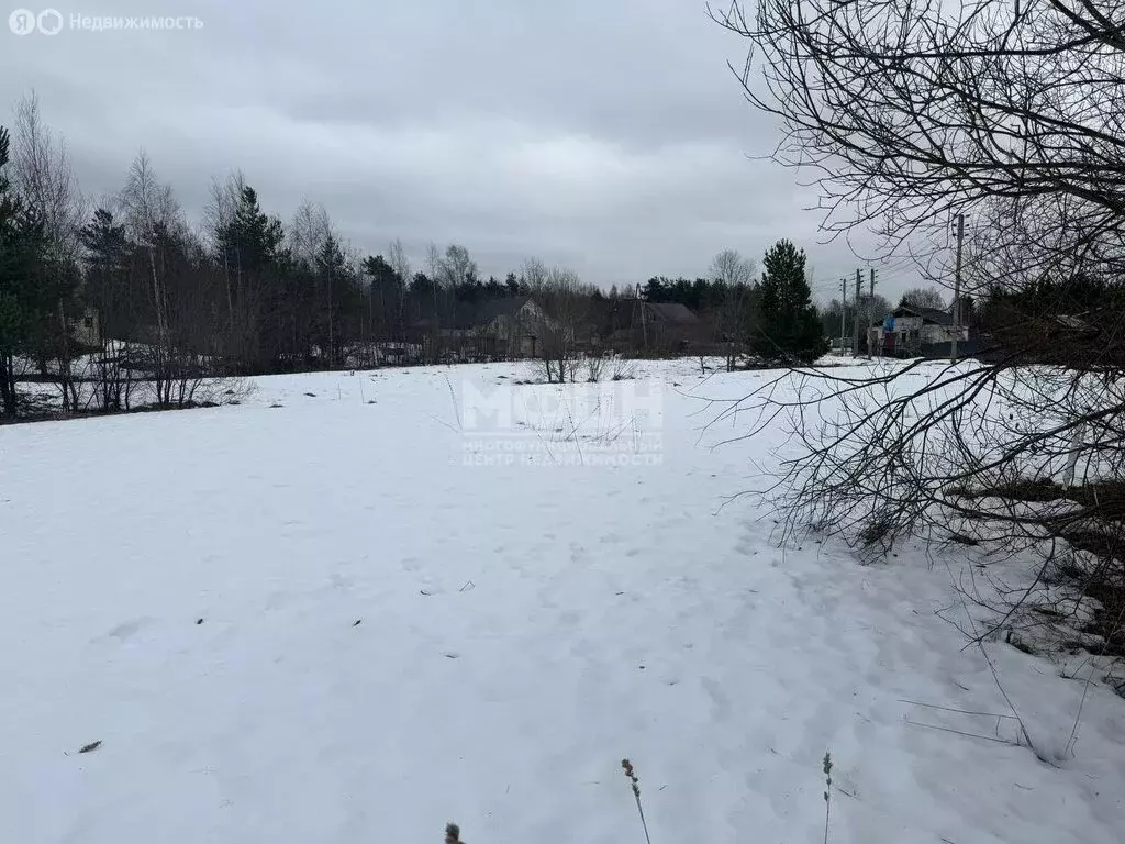 Участок в Прионежский район, село Заозерье (25 м) - Фото 1