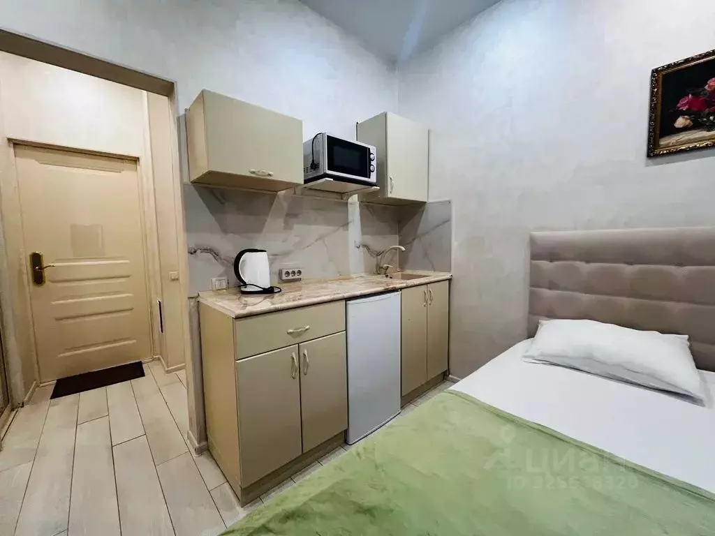 Студия Краснодарский край, Сочи Светлана мкр, ул. Депутатская, 10Д ... - Фото 2