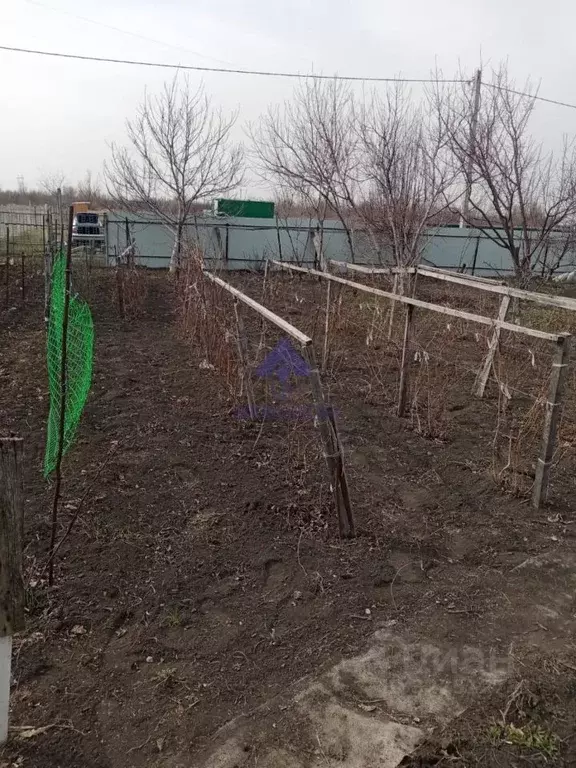 Дом в Ростовская область, Песчанокопский район, Развильненское с/пос, ... - Фото 2