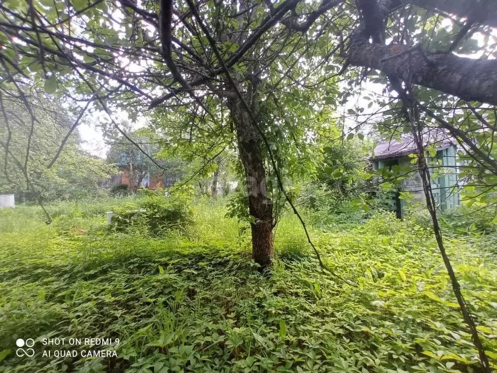 Участок в Нижегородская область, Нижний Новгород Дружба СНТ,  (4.5 ... - Фото 0