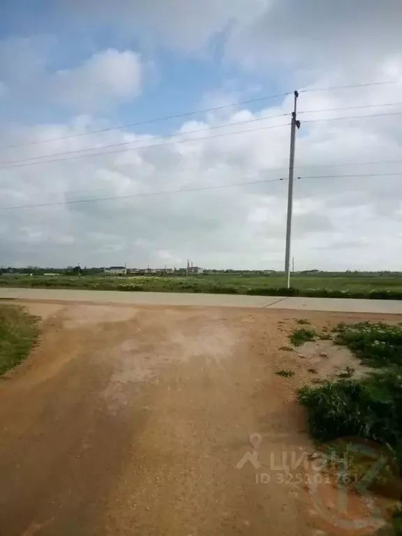 Участок в Крым, Сакский район, Молочненское с/пос, с. Витино  (6.0 ... - Фото 1