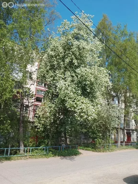 3к в 4-комнатной квартире (16.9 м) - Фото 1
