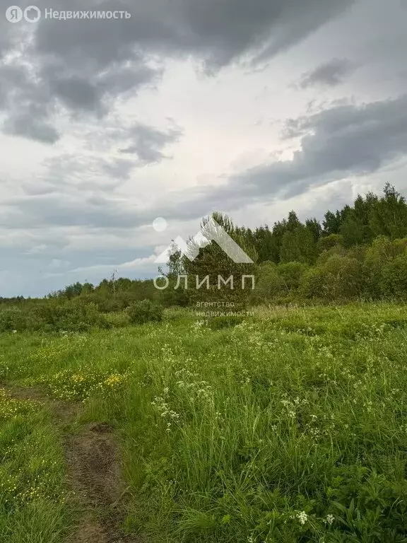 Участок в Вологодский муниципальный округ, деревня Новое (Борисовский ... - Фото 2