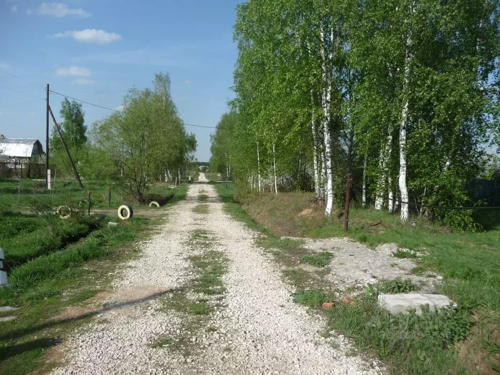 Участок в Владимирская область, Кольчугинский район, Флорищинское ... - Фото 1