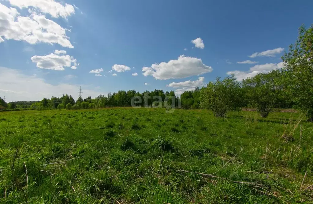 Участок в Томская область, Томск Каменка мкр, ул. Тихая (15.0 сот.) - Фото 1