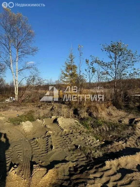 Участок в Сахалинская область, Анивский муниципальный округ, село ... - Фото 2