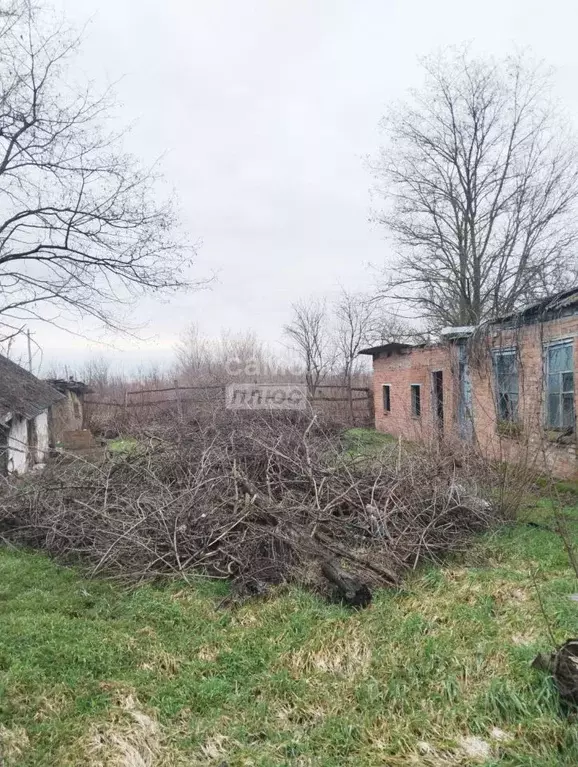 Участок в Краснодарский край, Кореновский район, Сергиевское с/пос, ... - Фото 1