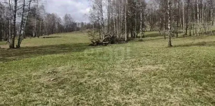 Участок в Алтай, Чемальский район, Чепошское с/пос, Сибирь тер.  ... - Фото 1