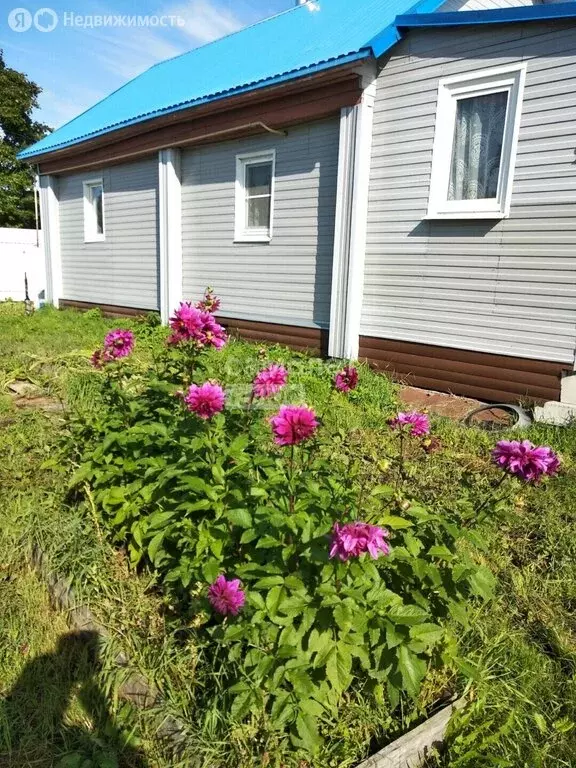 Дом в Рыбинск, Шекснинская улица, 34 (60 м) - Фото 1