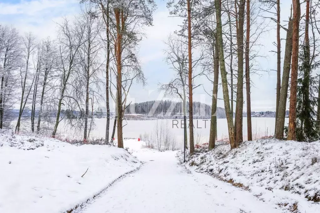 Участок в Ленинградская область, Всеволожский район, Куйвозовское ... - Фото 2