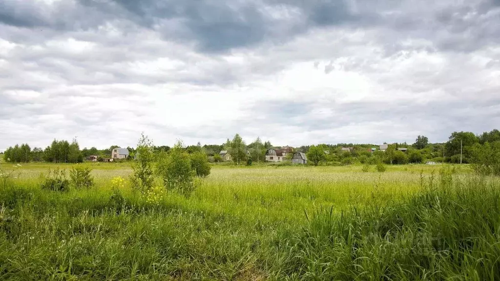 Участок в Тульская область, Тула городской округ, с. Частое  (10.0 ... - Фото 0