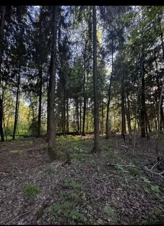 Участок в Московская область, Талдомский городской округ, д. ... - Фото 2