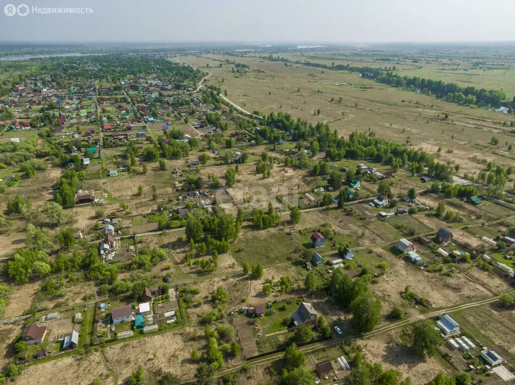 Участок в Колыванский район, СНТ Ежевичка (6 м) - Фото 1