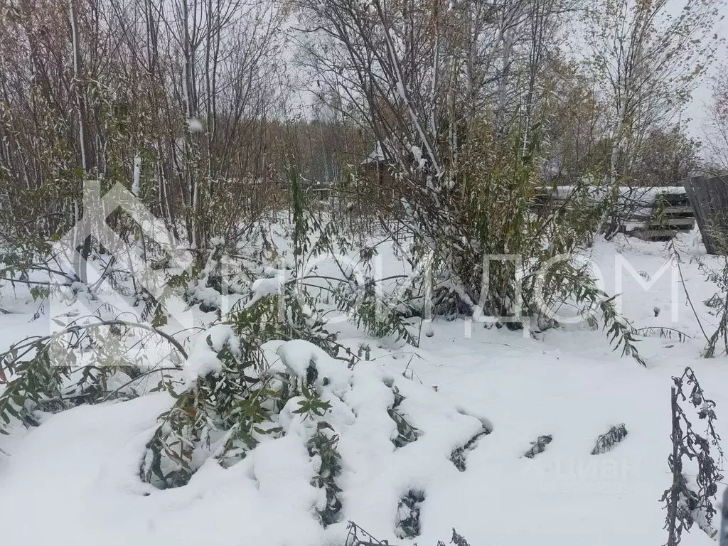 Участок в Сахалинская область, Тымовское пгт  (10.0 сот.) - Фото 2