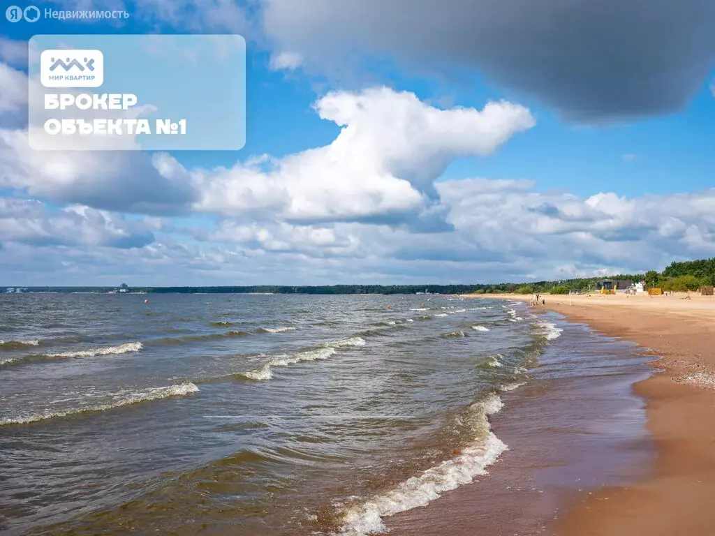 2-комнатная квартира: Сестрорецк, Таможенная дорога, 11к1с10 (72.6 м) - Фото 2