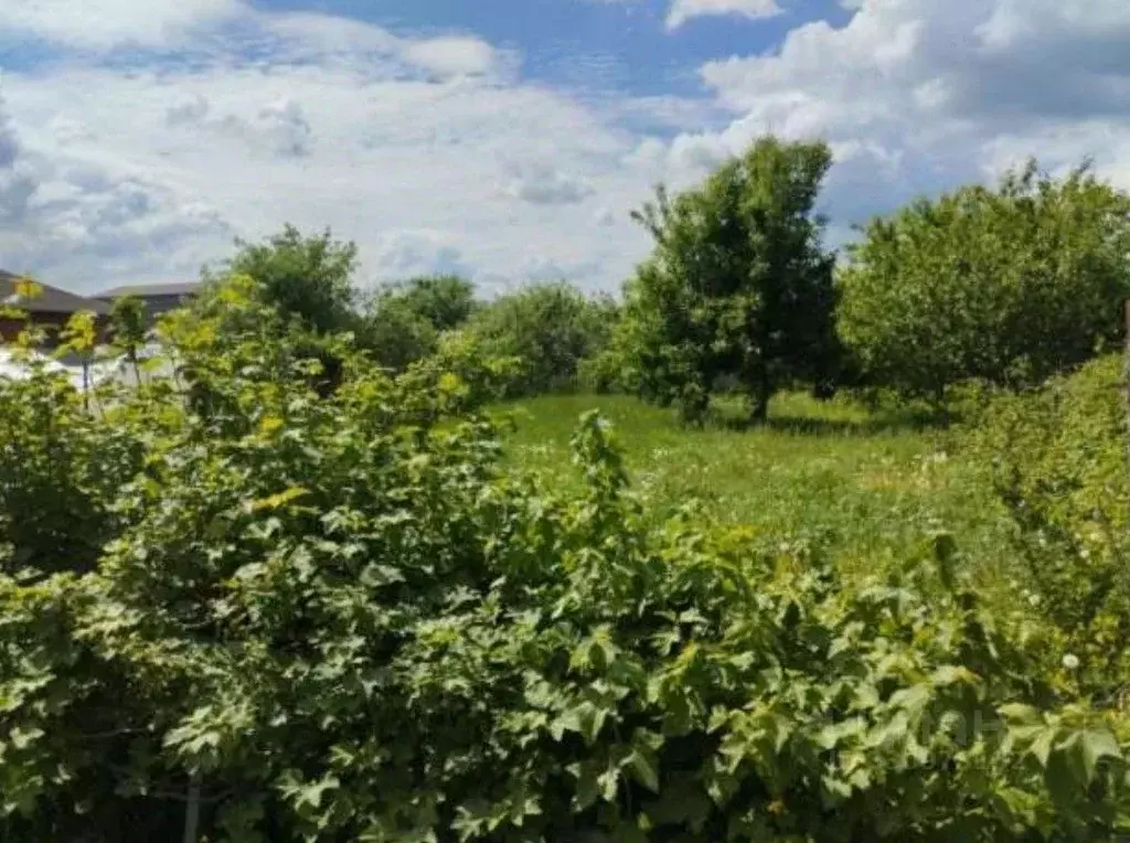 Участок в Московская область, Коломна городской округ, д. Зарудня ул. ... - Фото 1