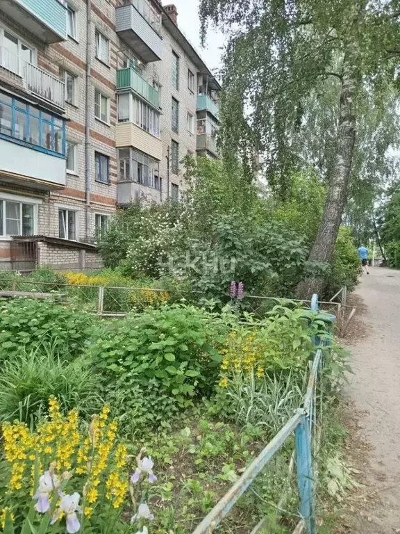 2-к кв. Нижегородская область, Городец Республиканская ул., 76 (44.0 ... - Фото 1