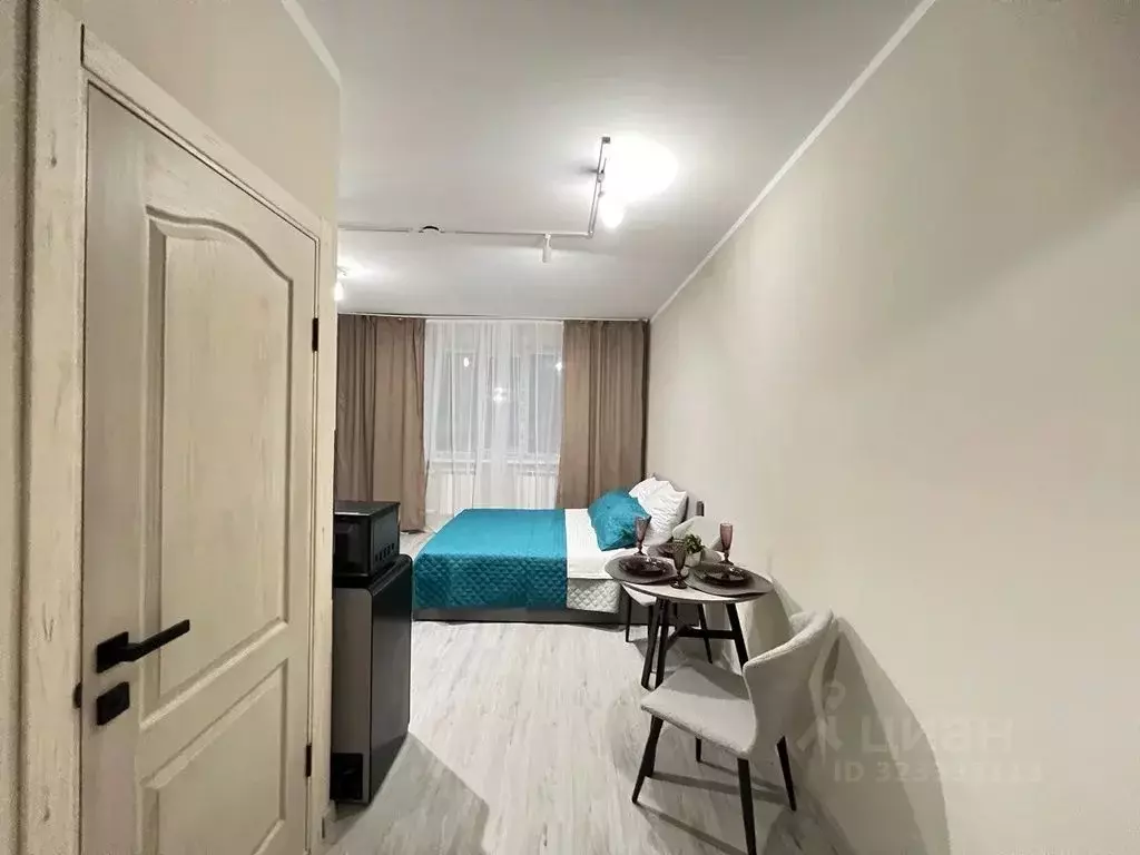 Студия Орловская область, Орел Речной пер., 6 (32.0 м) - Фото 2