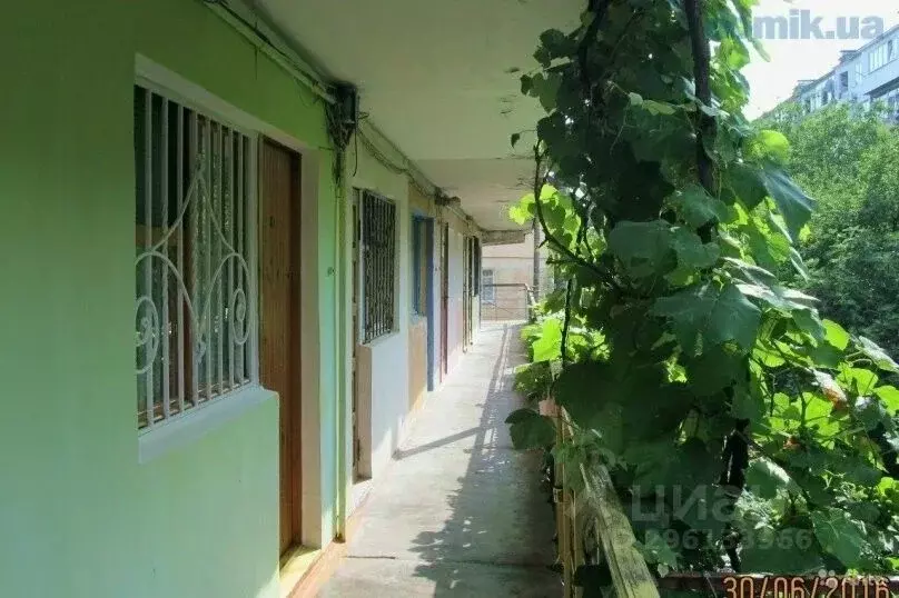 1-к кв. Крым, Ялта городской округ, Гаспра пгт ул. Маратовская, 53 ... - Фото 1