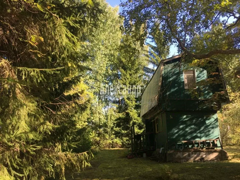 Участок в Ленинградская область, Всеволожский район, Рахьинское ... - Фото 2