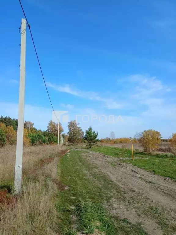 Участок в Алтайский край, Барнаул городской округ, пос. Ягодное ул. ... - Фото 1
