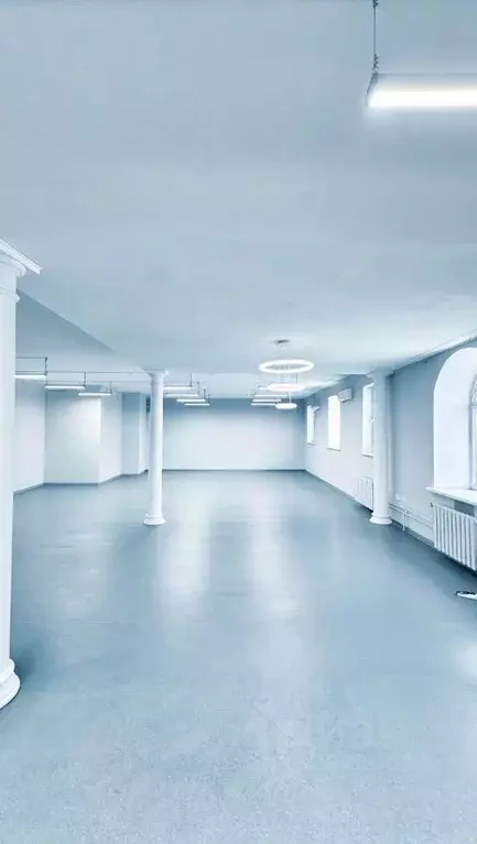 Офис в Татарстан, Казань ул. Островского, 67 (86 м) - Фото 2