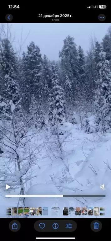 Участок в Алтай, Турочакский район, с. Артыбаш пер. Еловый, 6Г (13.0 ... - Фото 1