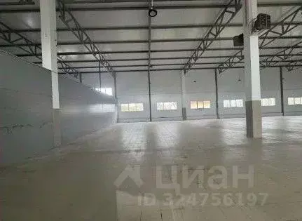 Склад в Ленинградская область, Отрадное Кировский район, Ленинградское ... - Фото 1