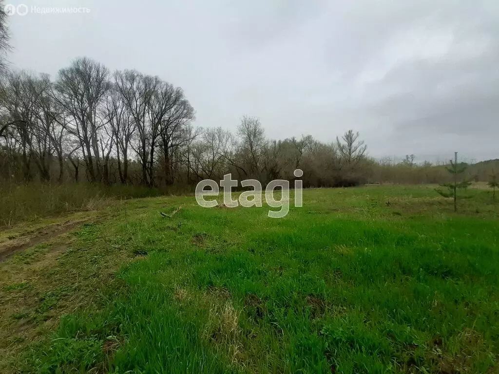 Участок в Шопино, Зелёная улица (30 м) - Фото 1