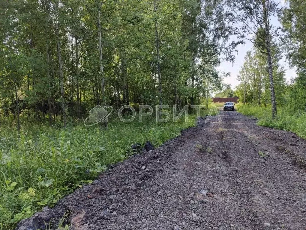Участок в Тюменская область, Тюменский муниципальный округ, Подъем СНТ ... - Фото 1