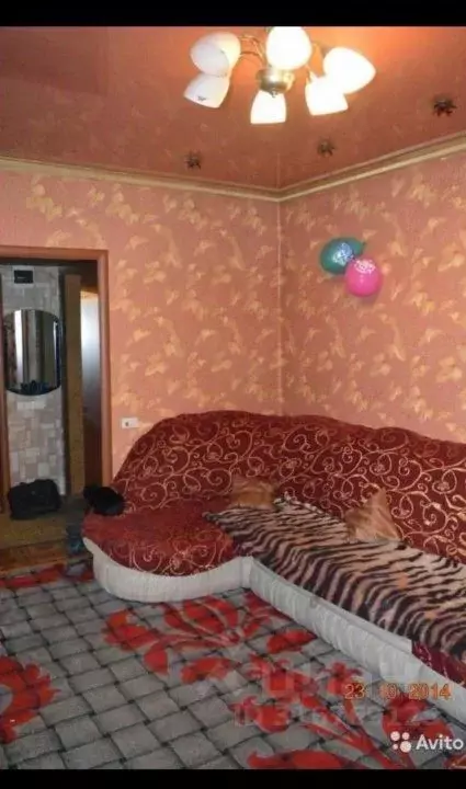 Дом в Кемеровская область, Киселевск ул. Спартака, 28 (50 м) - Фото 0