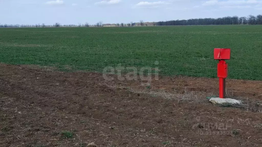 Участок в Крым, Сакский район, с. Ромашкино  (100.0 сот.) - Фото 1