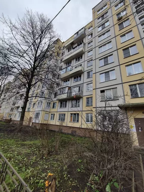 1-к кв. Санкт-Петербург просп. Энергетиков, 48 (31.2 м) - Фото 1