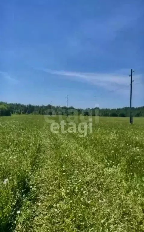 Участок в Пермский край, Краснокамский муниципальный округ, пос. ... - Фото 2