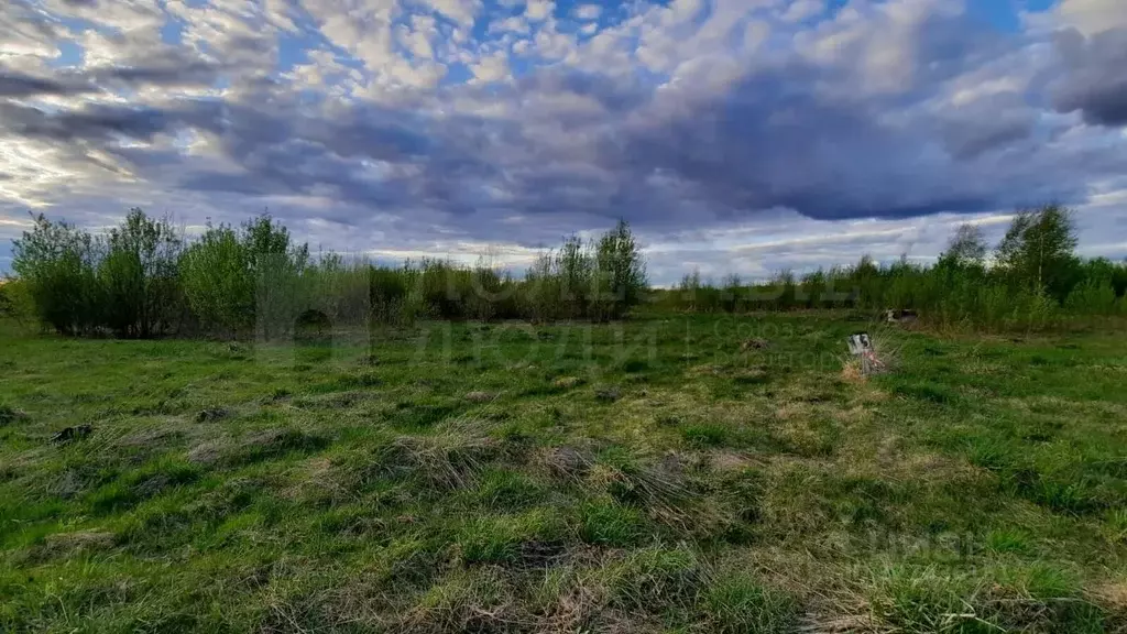 Участок в Новгородская область, Старорусский район, Великосельское ... - Фото 2