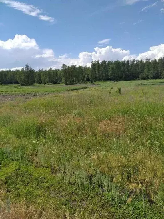 Участок в Белгородская область, Старооскольский городской округ, с. ... - Фото 0