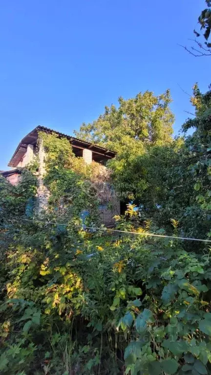 Участок в Волгоградская область, Дубовский район, Пичужинское с/пос, ... - Фото 2