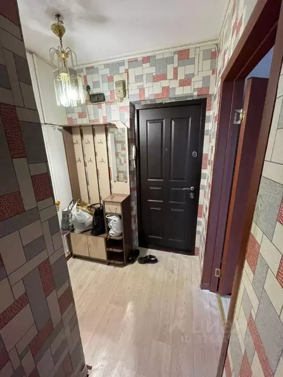 1-к кв. Курганская область, Курган ул. Радионова, 50 (30.0 м) - Фото 1