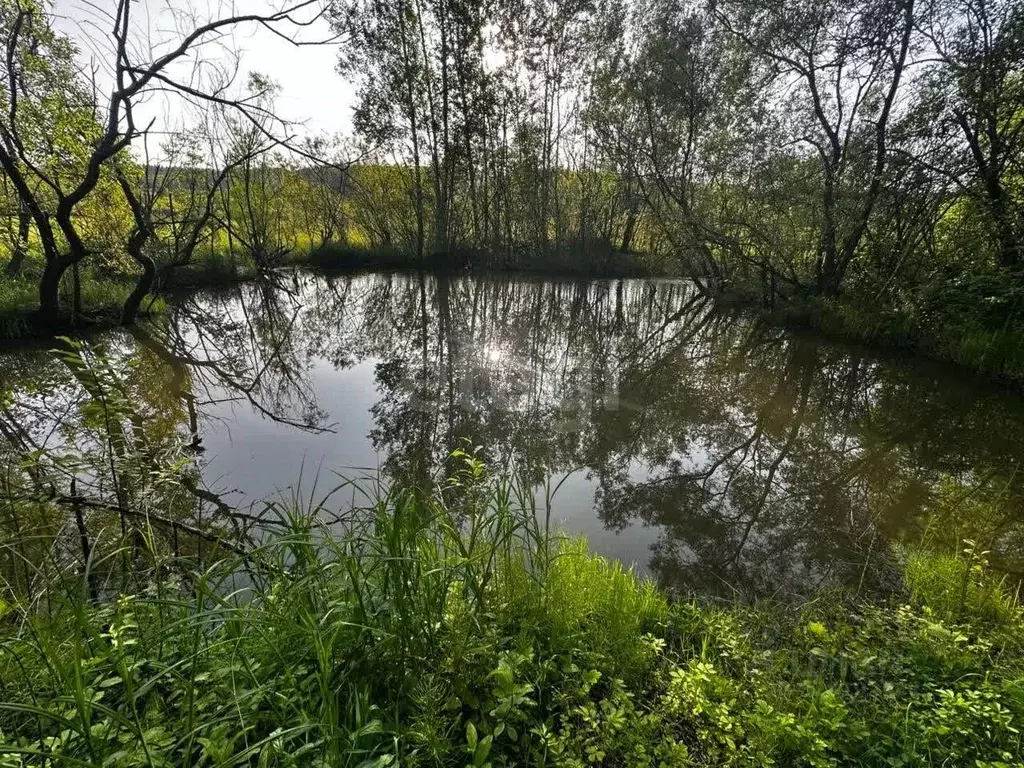 Участок в Амурская область, Благовещенск Светлана СТ,  (10.0 сот.) - Фото 1
