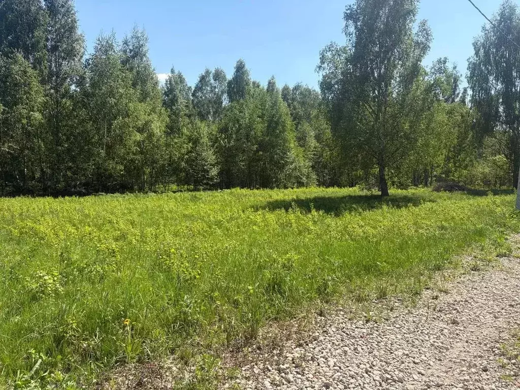 Участок в Московская область, Щелково городской округ, ТСН Здеховский ... - Фото 2